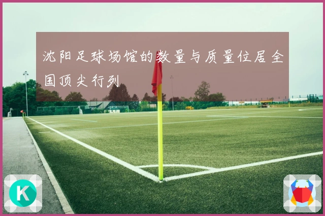 沈阳足球场馆的数量与质量位居全国顶尖行列